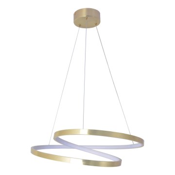 LED-pendel på vajer ZEFIRA LED/40W/230V 4000K Ø 50 cm guld