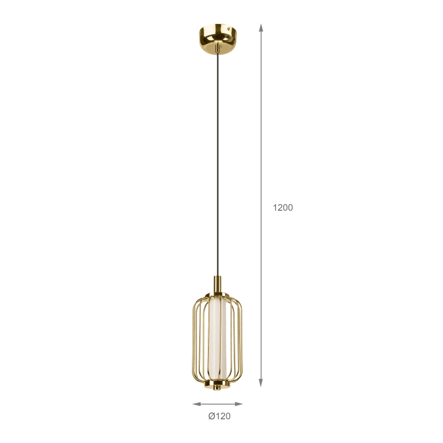 LED-pendellampa med kabel BONNIE LED/10W/230V 3000K guldig