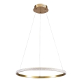 LED-pendellampa på kabel DIANA LED/25W/230V 4000K Ø 50 cm guldfärgad