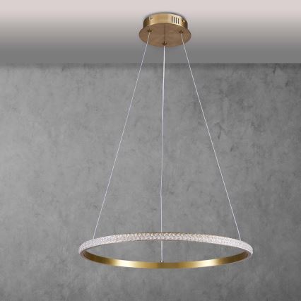 LED-pendellampa på kabel DIANA LED/25W/230V 4000K Ø 50 cm guldfärgad