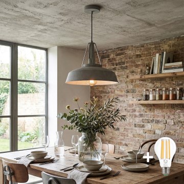 LED-pendellampa på vajer RYAN 1xE27/60W/230V grå