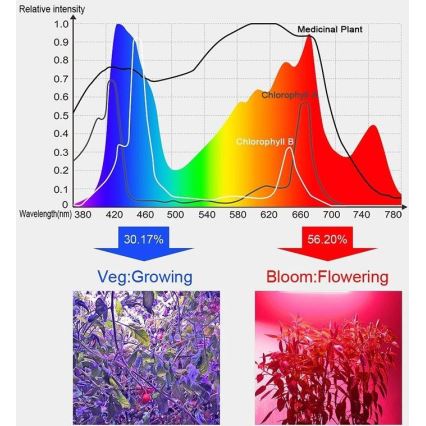 LED Pendelljus för växande växter LED/24W/230V IP44