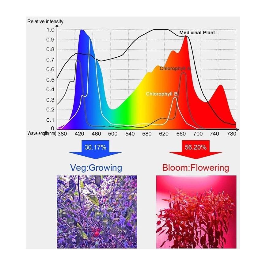 LED Pendelljus för växande växter LED/24W/230V IP44