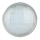 LED Poolslampa LED/25W/12V IP68 6500K