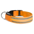 LED Rechargeable hund collar 45-52 cm 1xCR2032/5V/40 mAh orange