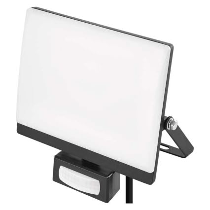 LED reflektor med rörelse- och skymningssensor TAMBO EVO LED/30W/230V 4000K IP44 svart