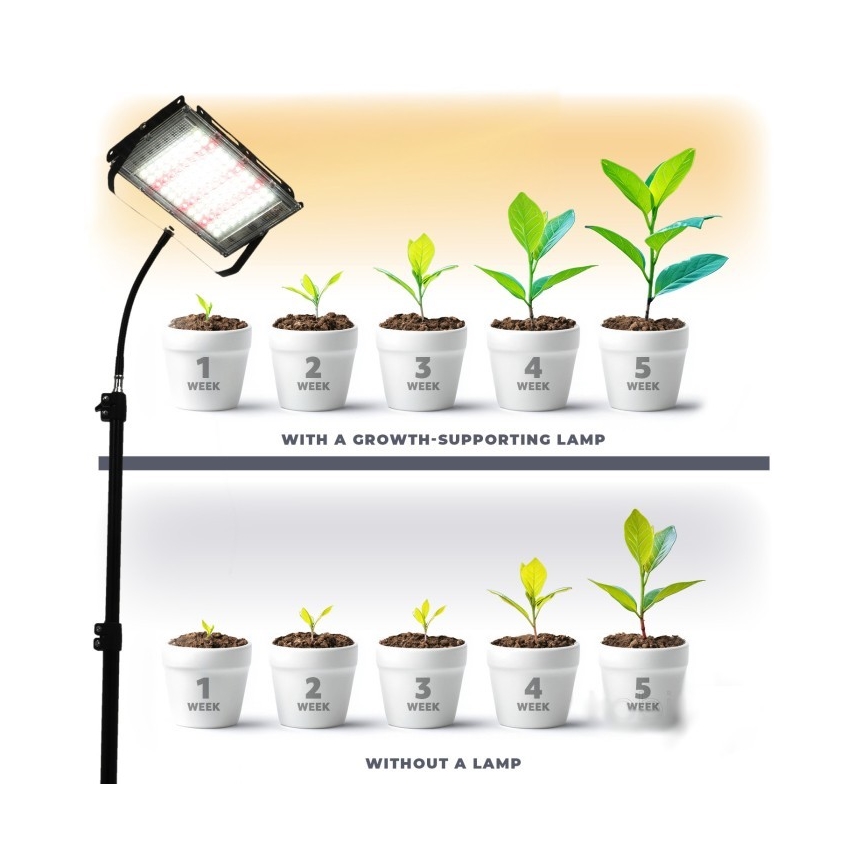 LED-reflektor med stativ för växtodling FIRON LED/45W/230V IP54 svart