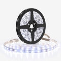LED-remsa LED/50W/12V 5m kallvit