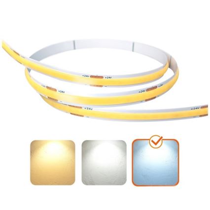 LED-remsa TRAMO LED/500W/24V 50 m 6500K