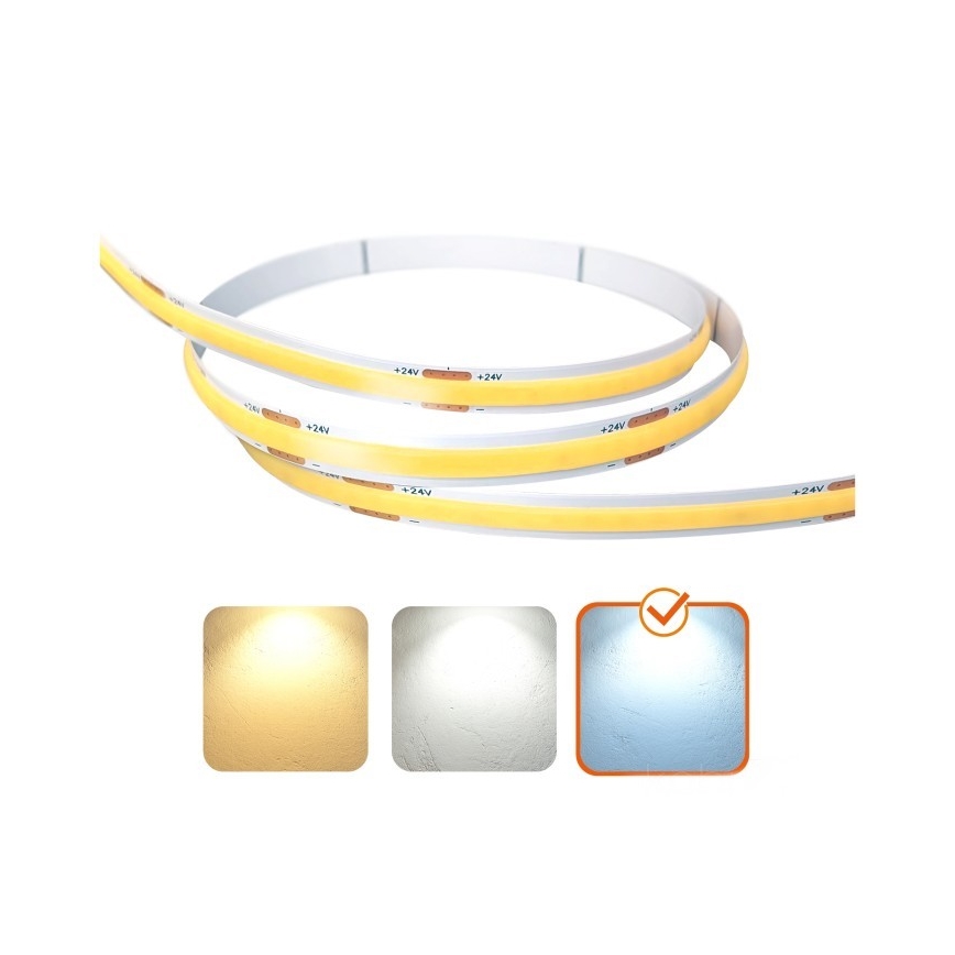 LED-remsa TRAMO LED/500W/24V 50 m 6500K