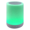 LED RGB bordslampa med högtalare LED/5V