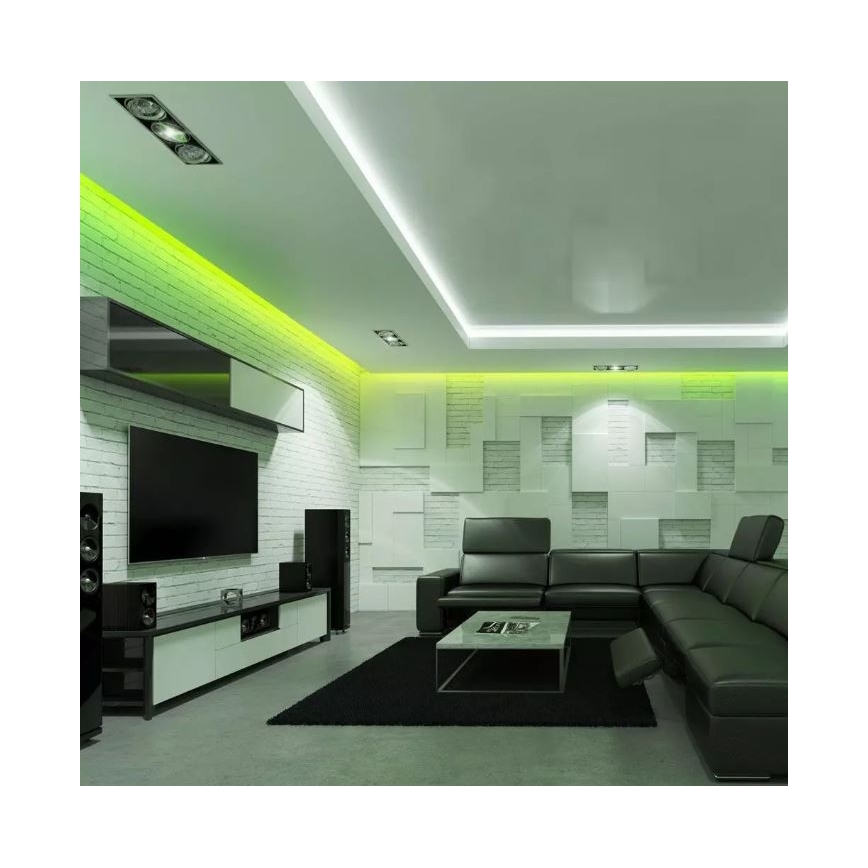 LED RGB Dimbar ljusslinga 2x5m LED/4,8W/230V + Fjärrstyrd