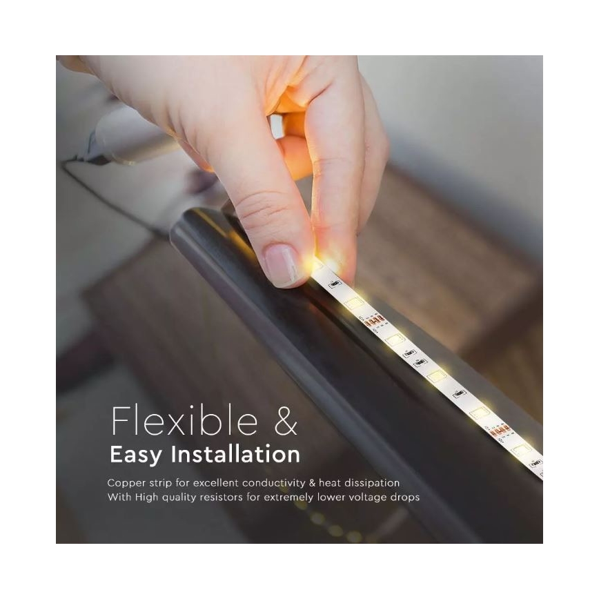 LED RGB Dimbar ljusslinga 2x5m LED/4,8W/230V + Fjärrstyrd