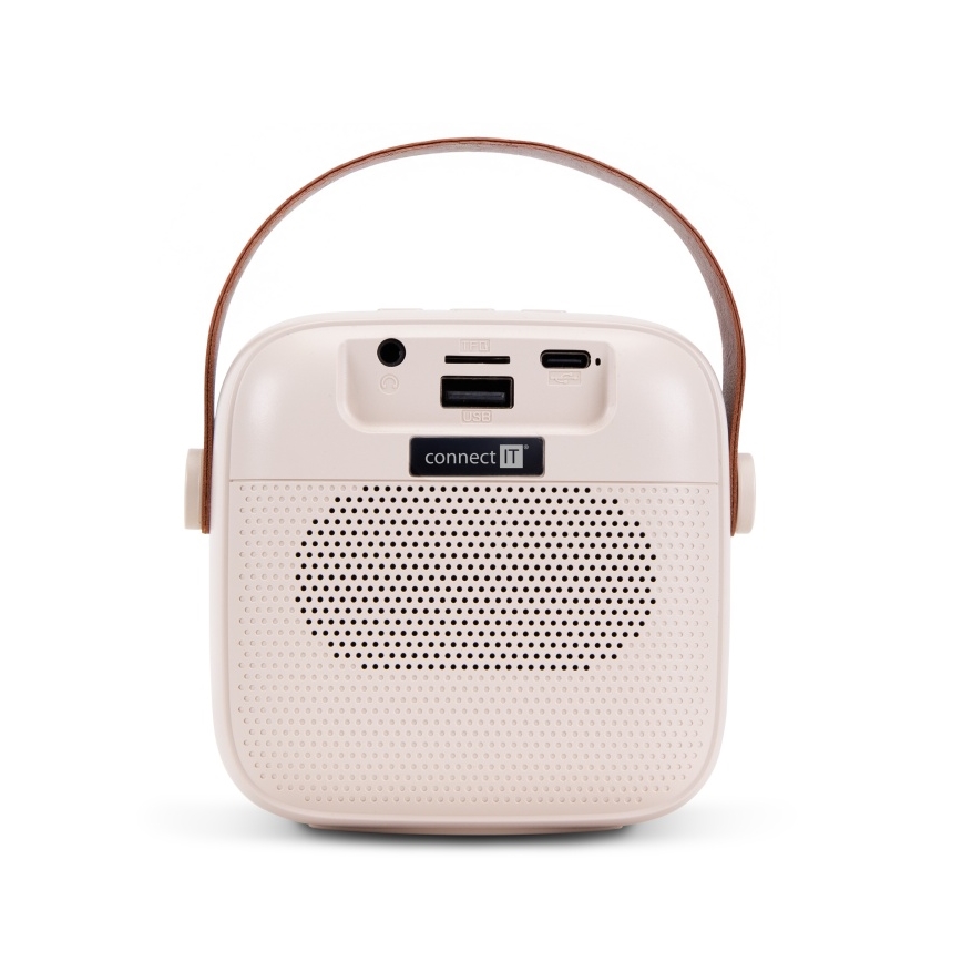 CONNECT IT CSP-1010-BG - RGB-LED-högtalare med 2 trådlösa mikrofoner (2Mic), 5 W/1200 mAh + 2x 400 mAh, krämvit/guld