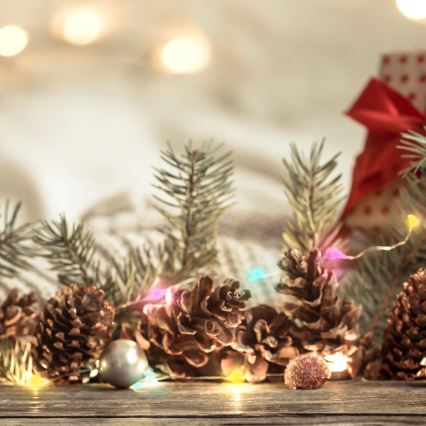 LED RGB Julkedja LED/10W/5V 10 m USB + fjärrkontroll