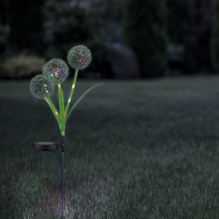 LED RGB solcellsbelysning ALLIUM LED/1,2V 6500 600 mAh IP44 svart