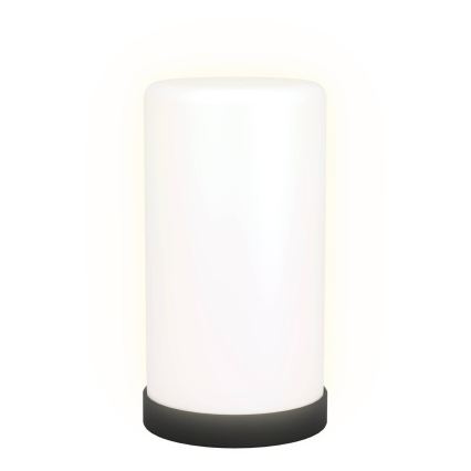 LED RGBIC Dimbar bordslampa LED/7,5W/230V 3000K + fjärrkontroll