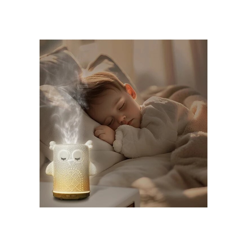 LED RGBW Aroma diffuser LED/8W/230V 100 ml uggla