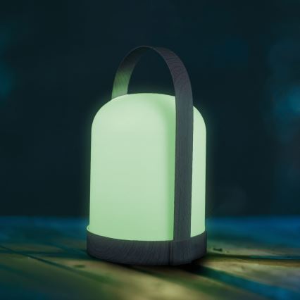 LED RGBW Dekorativ bordslampa MINORKA LED/0,3W/4,5V 3xAA