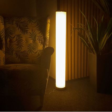 LED RGBW Dimbar golvlampa STELLA LED/12W/230V + fjärrkontroll