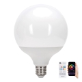 LED RGBW Dimbar lampa MESH G120 E27/18W/230V 6500K + fjärrkontroll - Aigostar