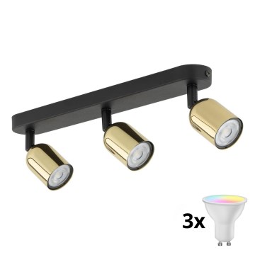 LED RGBW dimbar spot TOP 3xGU10/6,5W/230V 2700-6500K svart/guld