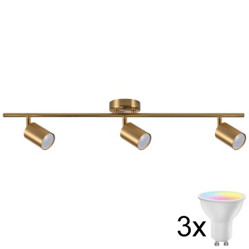 LED RGBW dimbar spotlight GOLDI 3xGU10/4,8W/230V 3000K guldig + fjärrkontroll