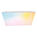 LED RGBW dimbar ytmonterad panel LED/24W/230V 2700-6500K vit + fjärrkontroll