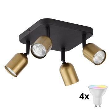 LED RGBW Dimbart spotarmatur TOP 4xGU10/6,5W/230V 2700-6500K guld/svart