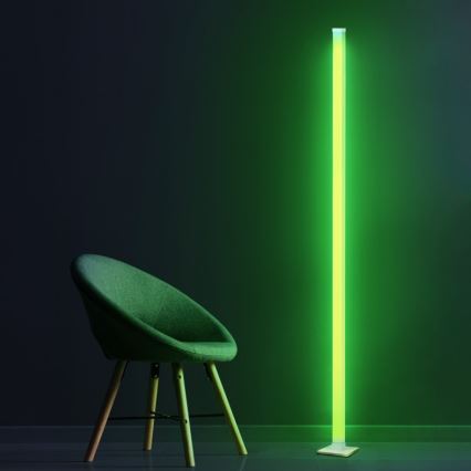 LED RGBW Dimbar golvlampa MAGICAL LED/7W/230V + fjärrkontroll