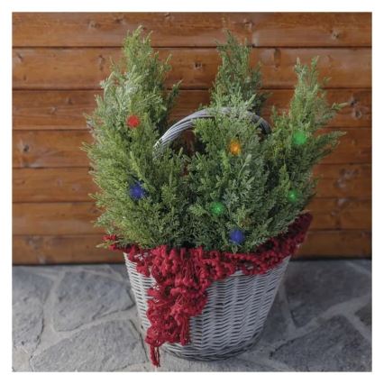 LED-solcellsdekoration 50 LED / 3 W / 1,2 V, 600 mAh, IP44