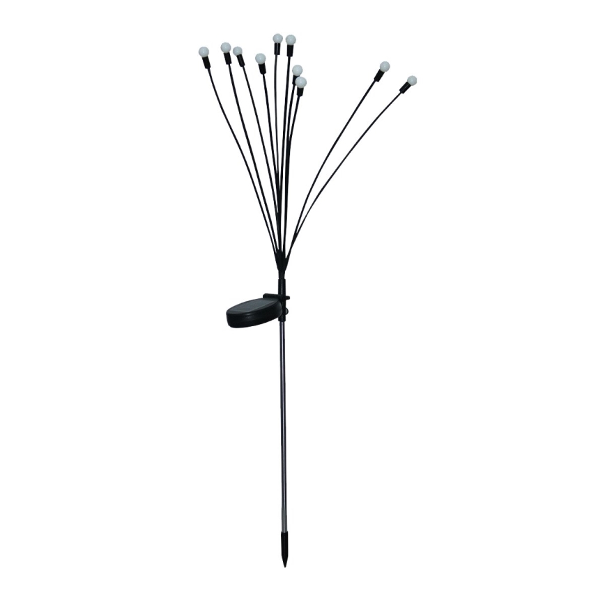 LED Solcell Dekorationslampa 10xLED/1,2V 3000K 73 cm 600 mAh IP44