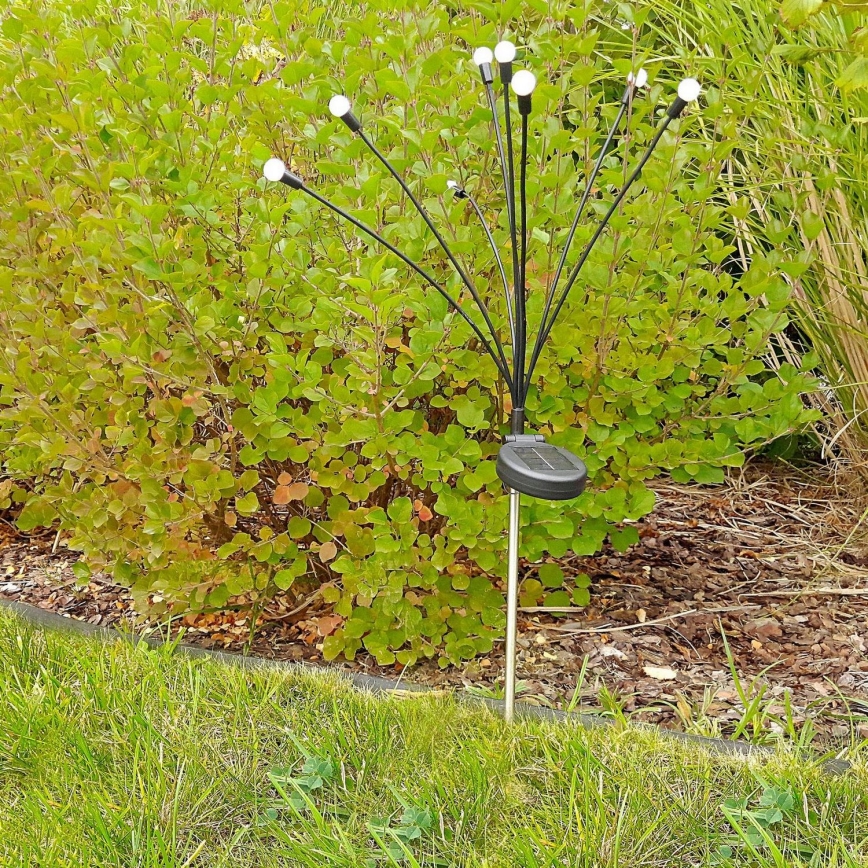 LED Solarlampa FIORINI 8xLED/1,2V 600 mAh IP44 svart