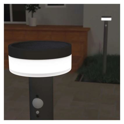 LED Solarlampa med sensor LED/2W/3,7V 1200 mAh IP44 80 cm