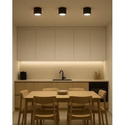 LED-spot 10 W, 230 V, 3000/4000/6400 K, Ø 12 cm, svart