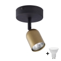 LED-spotlampa TOP 1xGU10/10W/230V guld/svart