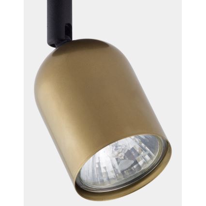 LED-spotlampa TOP 1xGU10/10W/230V guld/svart