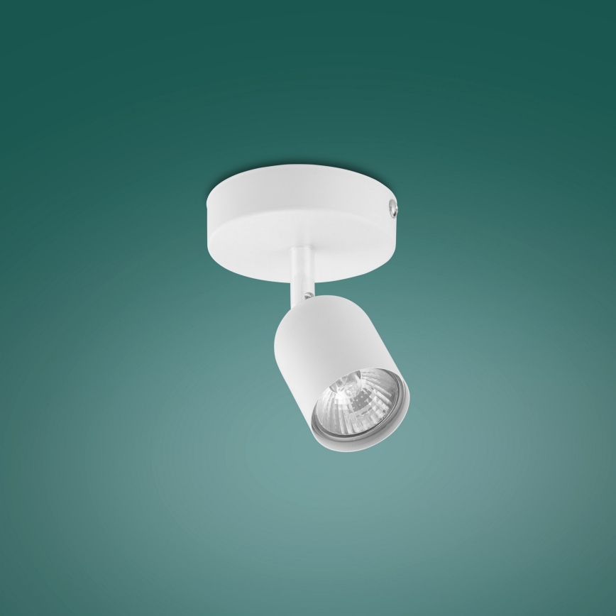 LED spotlampa TOP 1xGU10/10W/230V vit