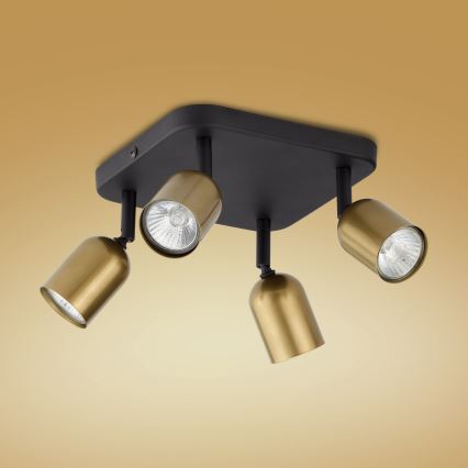 LED-spotlampa TOP 4xGU10/10W/230V guld/svart
