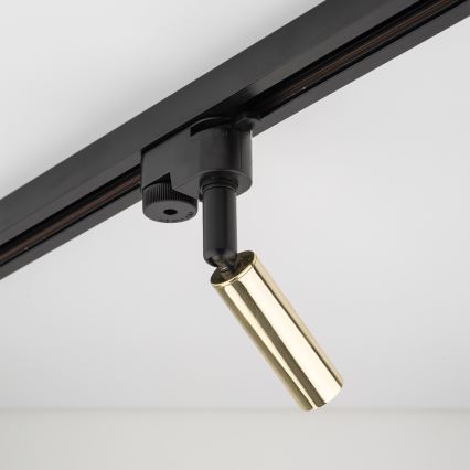 LED spotlight för 1-fas skensystem LAGOS 1xG9/3W/230V guld/svart