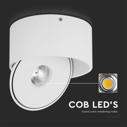 LED Flexibel spotlight LED/20W/230V 3000/4000/6400K CRI 90 vit
