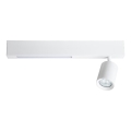 LED spotlight MAGNET LED/5W/230V + 1xGU10/60W 3000/4000K vit
