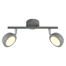 LED spotlight MILD 2xLED/6W/230V grå