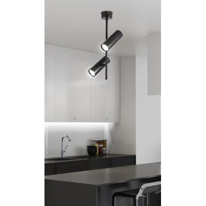 LED Spotlight TUBA 2xLED/10W/230V svart