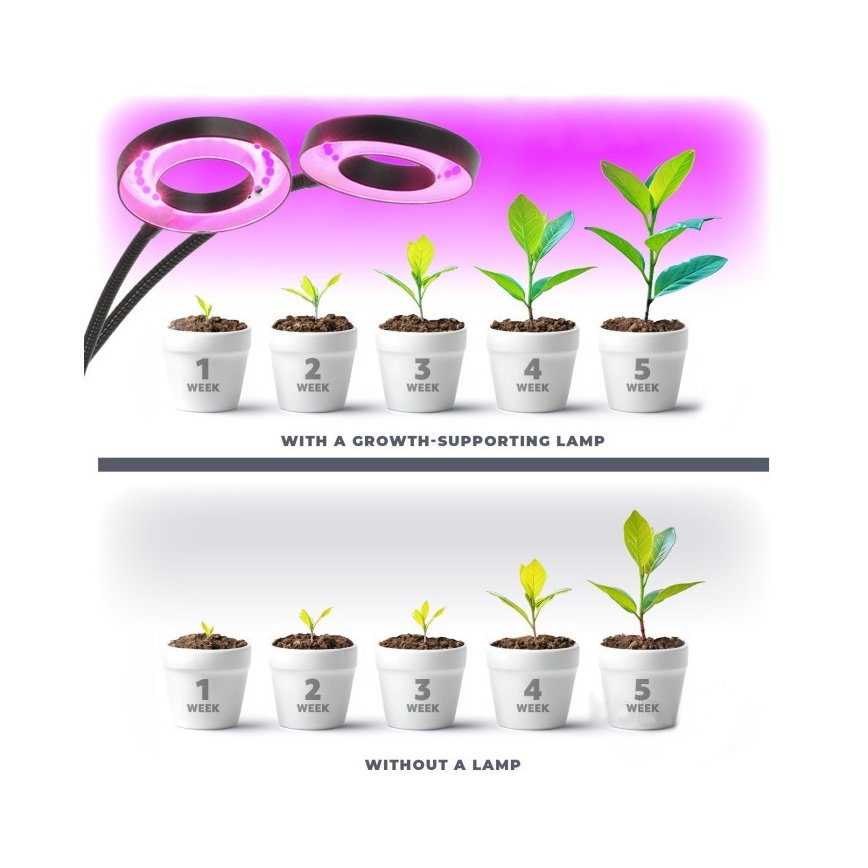 LED Dimbart flexibelt skrivbordslampa med klämma för växtodling VITARO 2xLED/4W/230V svart