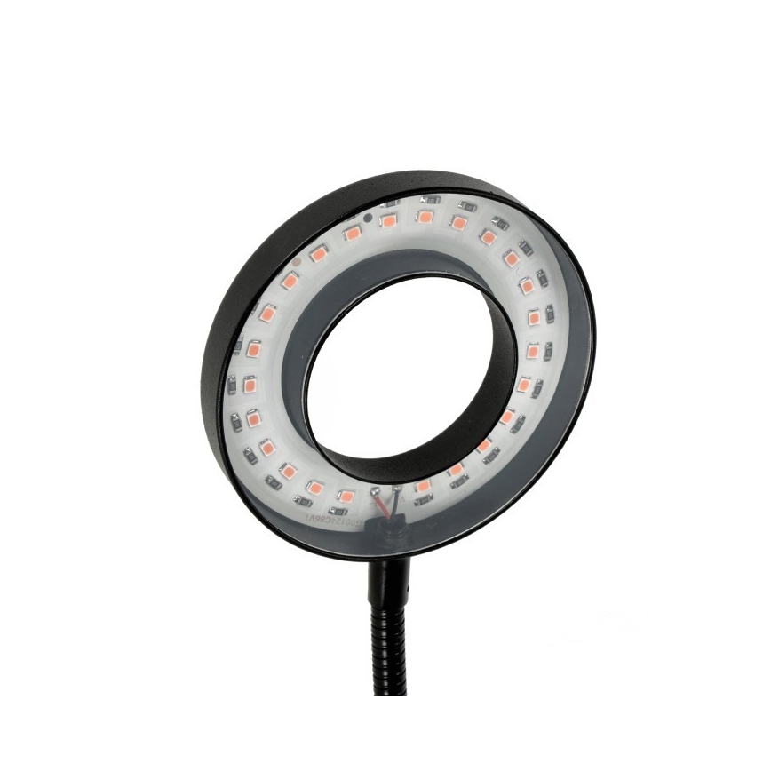 LED Dimbart flexibelt skrivbordslampa med klämma för växtodling VITARO 2xLED/4W/230V svart
