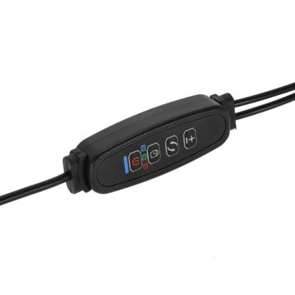 LED Dimbart flexibelt skrivbordslampa med klämma för växtodling VITARO 2xLED/4W/230V svart