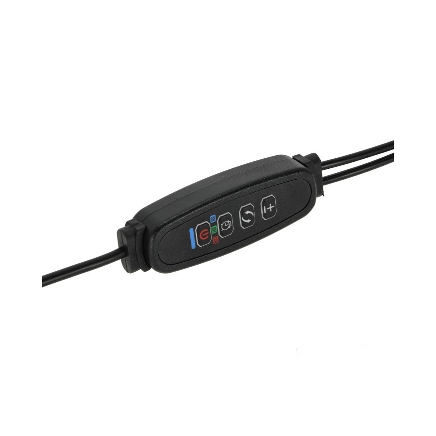 LED Dimbart flexibelt skrivbordslampa med klämma för växtodling VITARO 2xLED/4W/230V svart