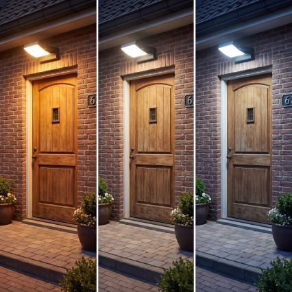 LED dimbar utomhusväggarmatur LED/12/18/24W/230V 3000/4000/6500K IP54 svart