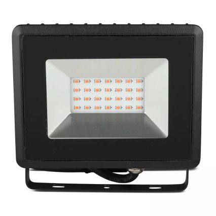 LED Strålkastare LED/20W/230V IP65 rosa ljus
